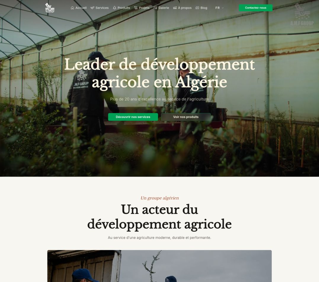 amf website