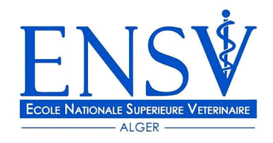 ENSV Alger