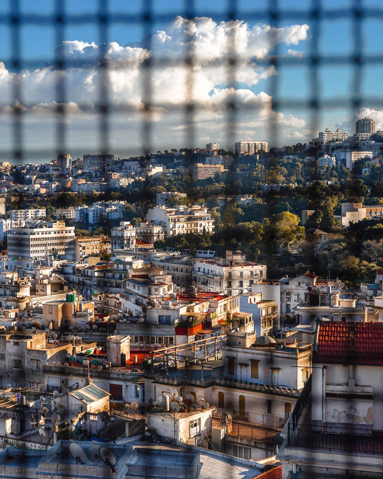Toits d’Alger au coucher du soleil